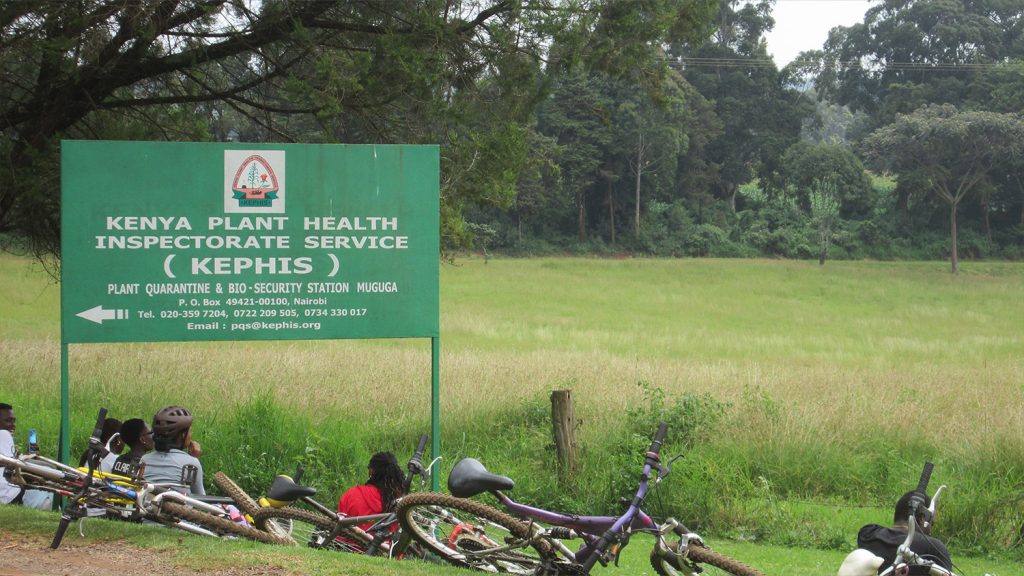 cycling at kefri