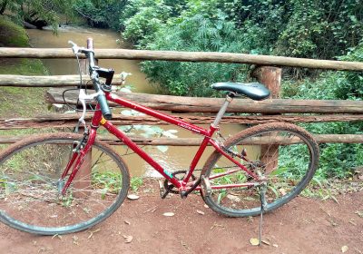 Bicycle - Karura Forest
