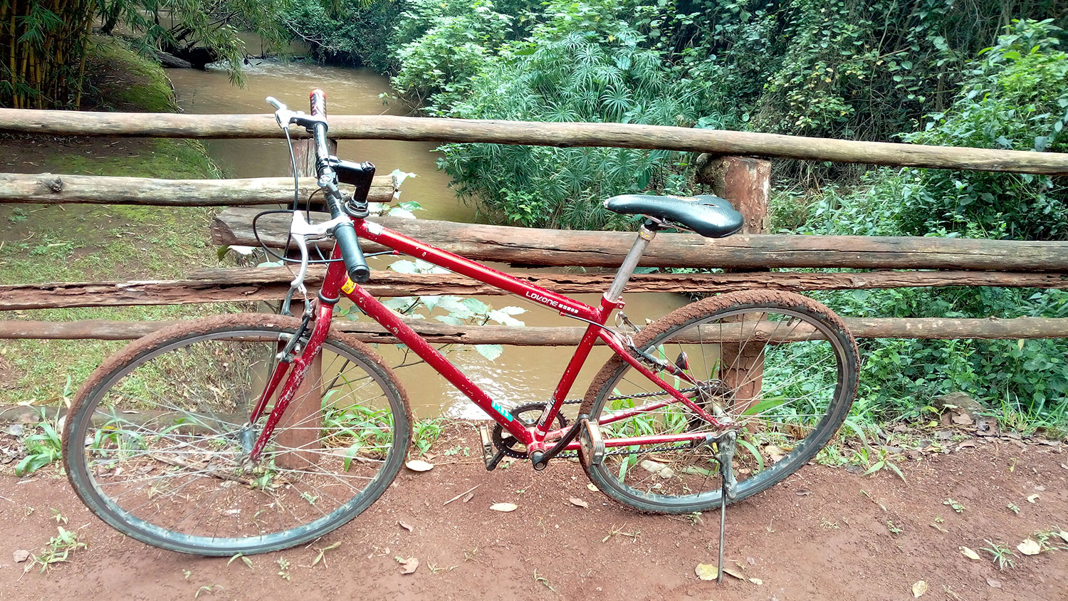 Bicycle - Karura Forest