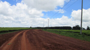 Hiking in Uplands. Limuru. Tea Plantations