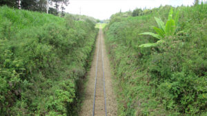Hiking in Uplands. Limuru - Nairobi - Kijabe Railway Line